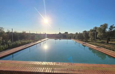 Finca El Palmar - Foto 1