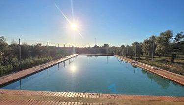 Finca El Palmar - Foto 1