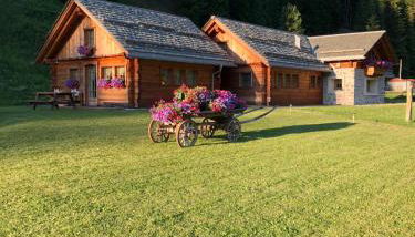 Alpine Chalet - Photo 5