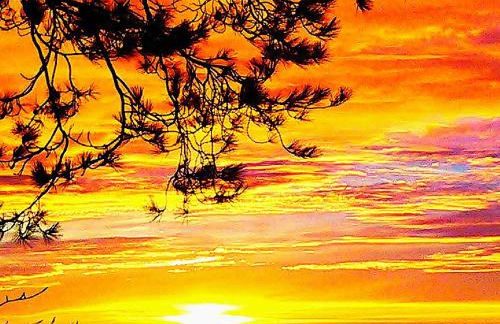 Sea Moss Cabin - Foto 19