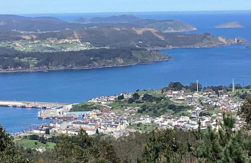 Rego de Flores - Foto 17