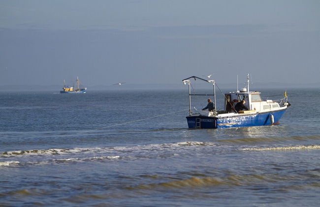 Quaint Holiday Home in Nieuwvliet-Bad near Sea Beach - Foto 37