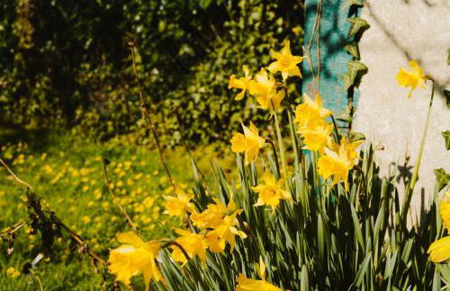 Gîte Les Fresnes - Foto 32