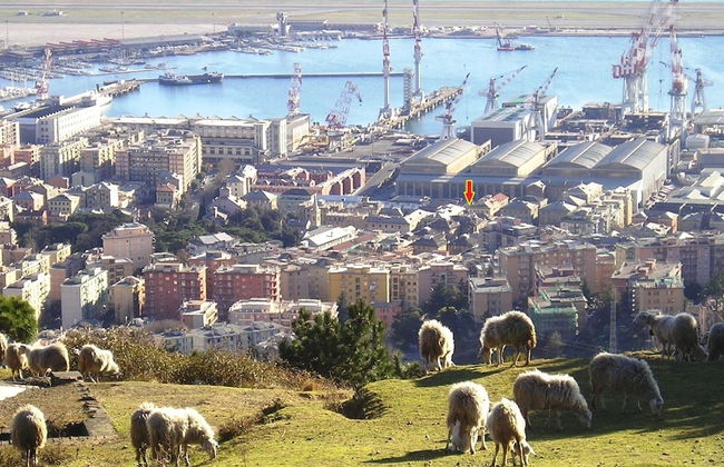 Casa MaMa - Photo 43