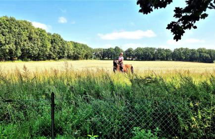 Lüneburg-Melbeck, 105 qm mit Fernsicht, ruhige Sackgasse, Fussbodenheizung - Foto 34