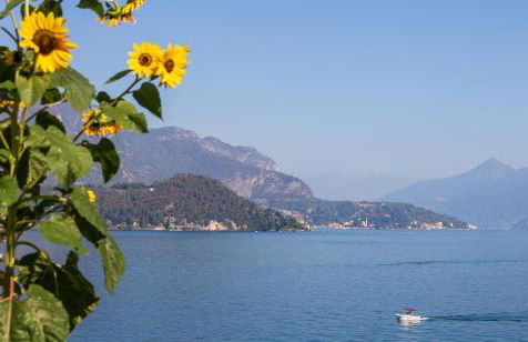 Appartamento Sosta sul Lago - Foto 15