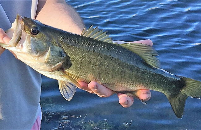 4636 5-bed Disney Area Pool Home, Cumbrian Lakes - Foto 31