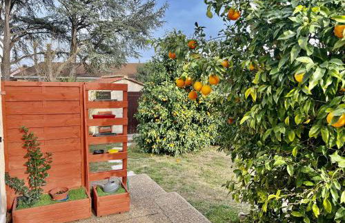 Les orangers - Villa catalane avec Jacuzzi - Photo 14