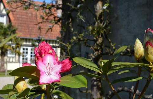 L'Orée des prés - Gîte de Charme - 3 étoiles - Foto 17