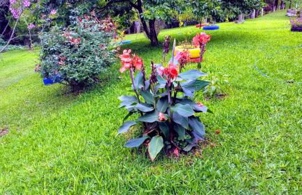 Sítio Recanto do Araçá - Foto 67