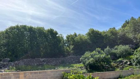 Zelena oaza - Foto 3, Garden, Garden view