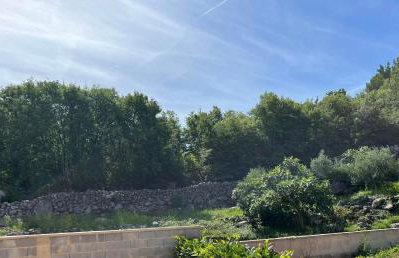 Zelena oaza - Foto 3