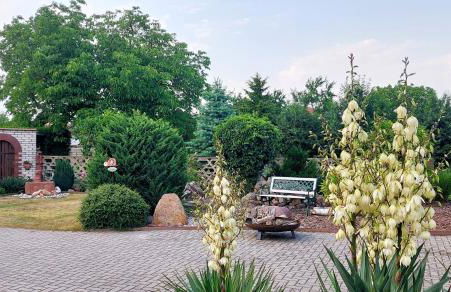 Ferienwohnung MaRi - Foto 16