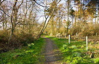 Duck Cottage - Pet-friendly Traditional Rural Home - Foto 21