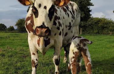 Roulotte à la Ferme Buissonnière - Foto 30