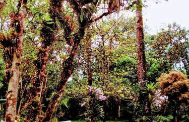 Chalés na Serra da Graciosa - Chácara Lucinda - 12km de Morretes - Photo 5