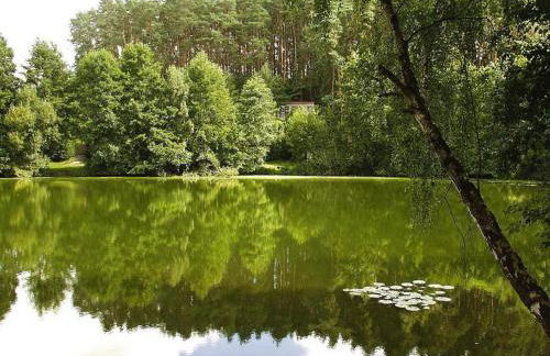 Feriensiedlung Am Grundlossee in Sewekow - Photo 26