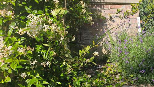 Gite Au Coeur de Tours, familial avec jardin au calme, parking - Photo 2, Garden