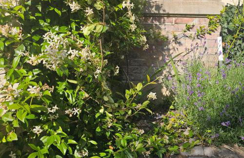 Gite Au Coeur de Tours, familial avec jardin au calme, parking - Photo 2