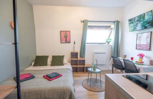 L'Exotique - Parking I Netflix I Gare I WIFI TRÈS HAUT DÉBIT - Calme & Cosy - Foto 16