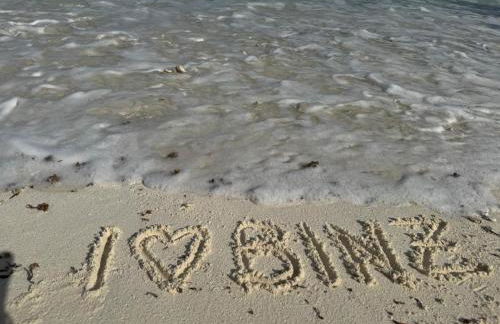 Apartmenthaus Sonnenblick - Foto 6