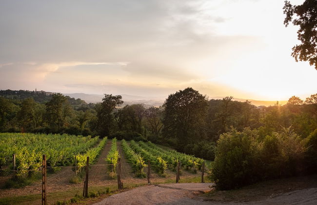 Agriturismo Le Cerque - Foto 27