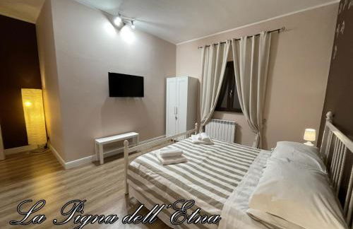 La Pigna dell'Etna - Foto 38