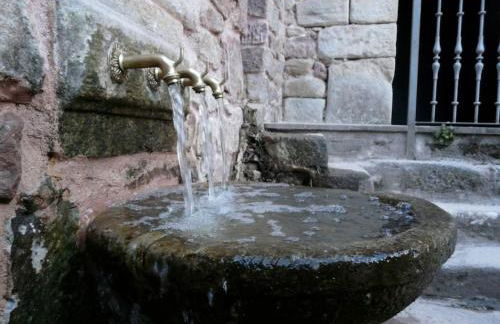 Casa el sabinar - Foto 41