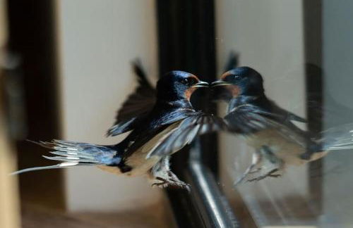 Bedport Loft - Foto 37