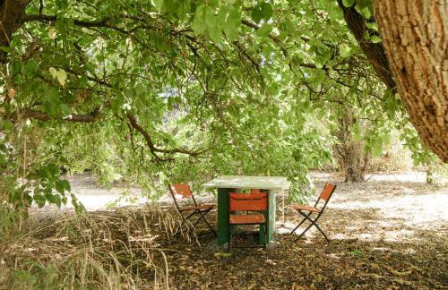 NEW! Quinta de Zanão House - Foto 70