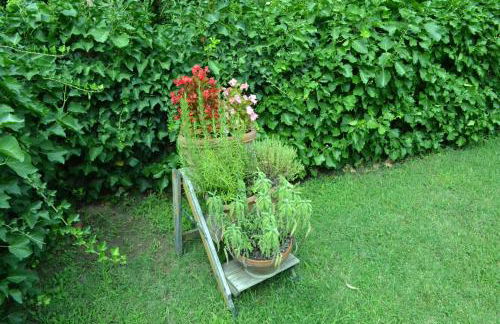 La Capanna dei Carri - Foto 7