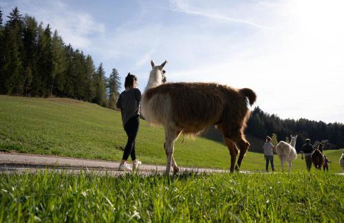 Schupferhof - Foto 37
