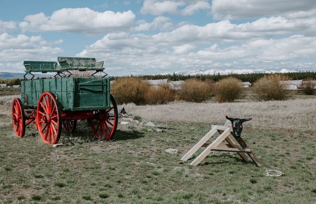 Bar N Ranch - Photo 71