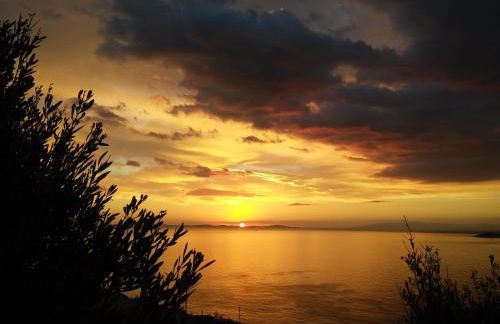 Sarris Planet - Photo 37