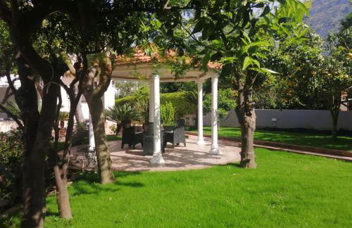 Summer Colors rooms & apartments - Foto 55