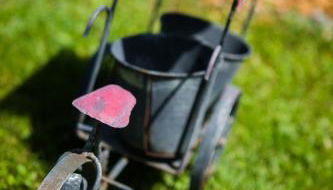 Sixt Martina - Foto 4, Garden