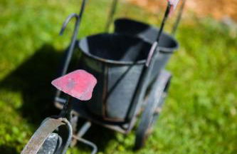 Sixt Martina - Foto 4