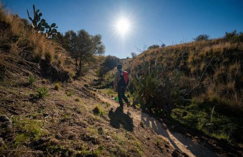 Agriturismo Pietre di Gelo - Foto 21