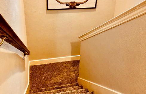 The Texas Bluebonnet Home in Historic McKinney - Foto 47