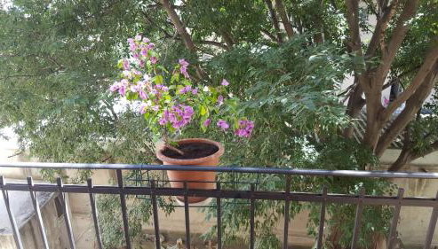 Apartment Lelli - Photo 3