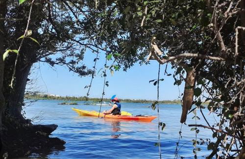 Studios MISTRAL21 en Camargue - Foto 33