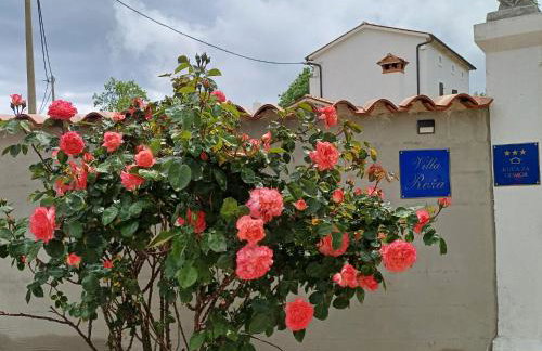 Villa Roža - Photo 5