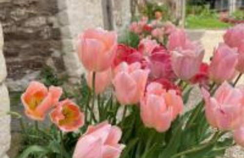 Tudor Romance- a historic manor house for holiday and corporate stays - Foto 33