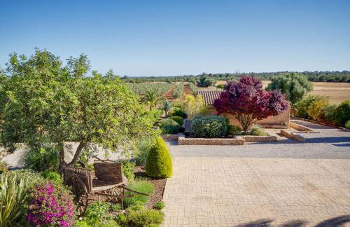 Finca Agroturismo Can Carro - Foto 10