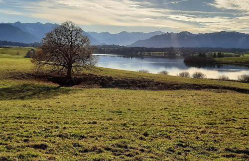 Aparthotel Werdenfels - Foto 30