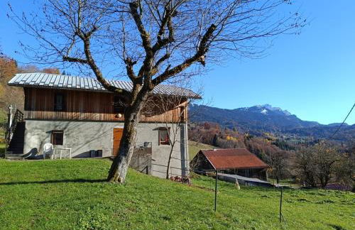 Chalet paisible à 4km de la station des Carroz - Chalet St François de Sales - Foto 28