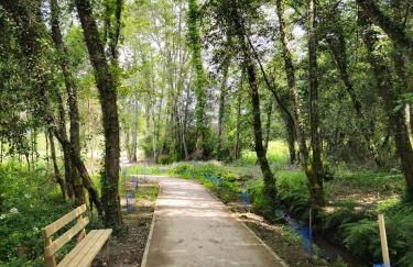 Casa da avoa Sanxenxo - Foto 32