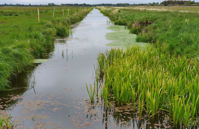 2 bedroom House in Smołdzino with garden and terrace - Foto 47