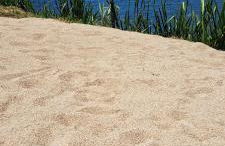 Casa da Avó - Barroca - Foto 11