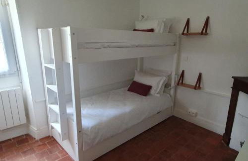 Vitis Vinifera - Foto 13